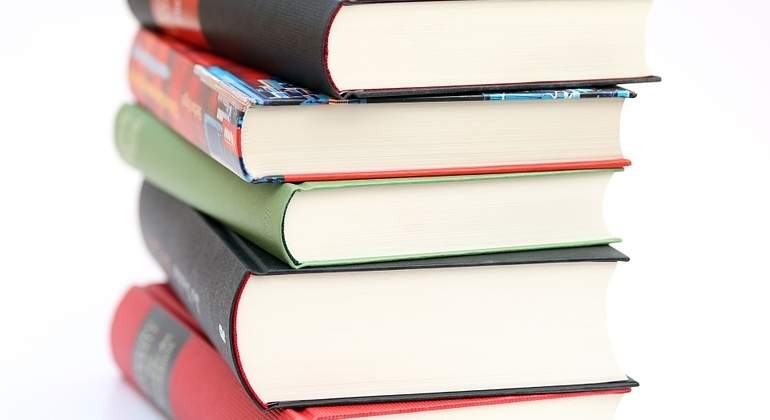 libros-monton-770x420-pixabay.jpg