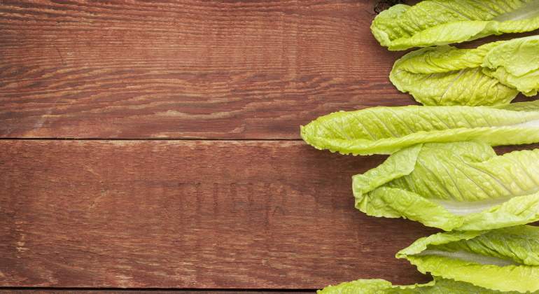 lechuga-romana--1-dreamstime.jpg