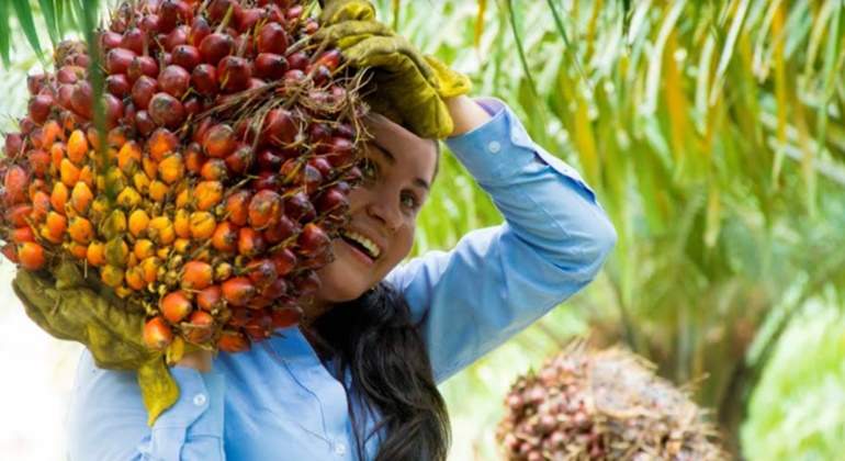 mujer palmera 1