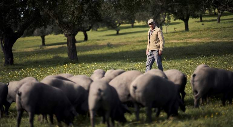 ibericos.jpg