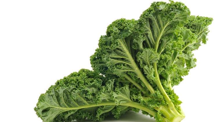 Kale.jpg