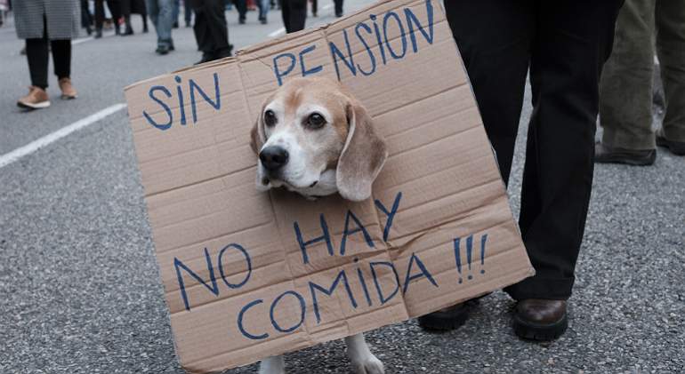 Perro-pensiones-Getty.jpg