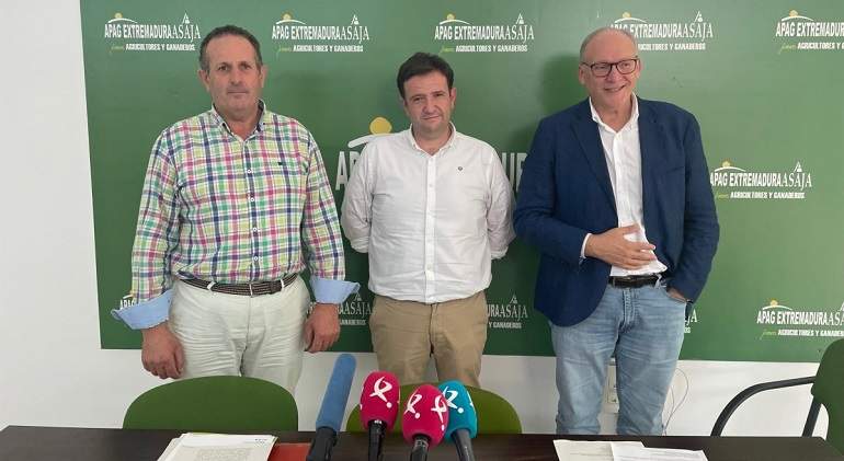 requena-y-almendralejo-se-unen-para-obtener-representaci-n-en-la-do-cava-ficha.jpg