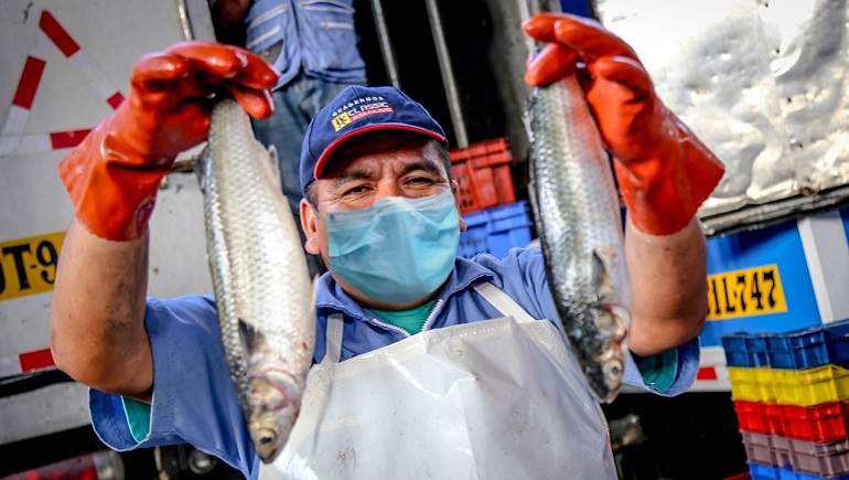pesca_sanipes.jpg