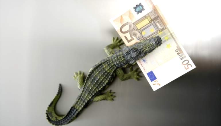 euro-billete-cocodrilo.jpg
