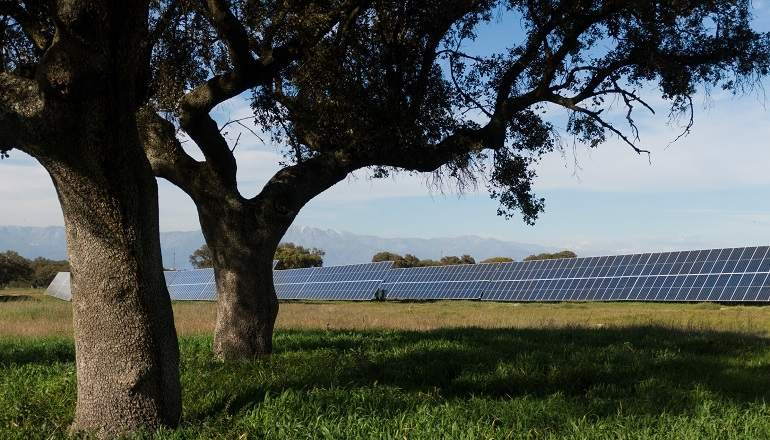 Planta-solar-Talayuela-Statkraft_Caceres.jpg