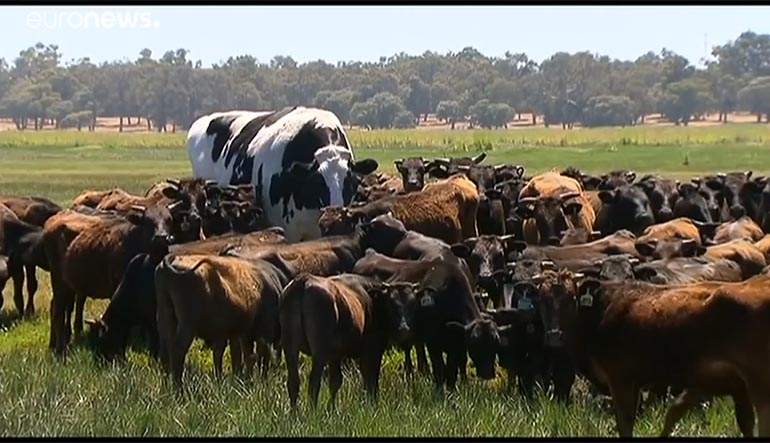 vaca-gigante.jpg