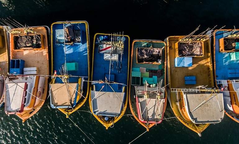 barcos.jpg