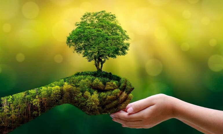 naturaleza-defini.jpg
