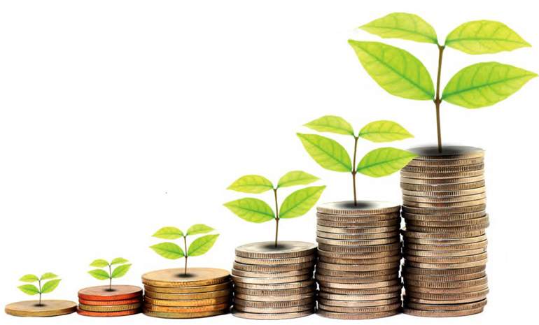 Crecimiento economico