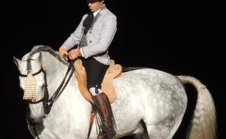caballo.jpg
