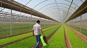 La agroalimentación se lanza a la caza de fondos del Next Generation