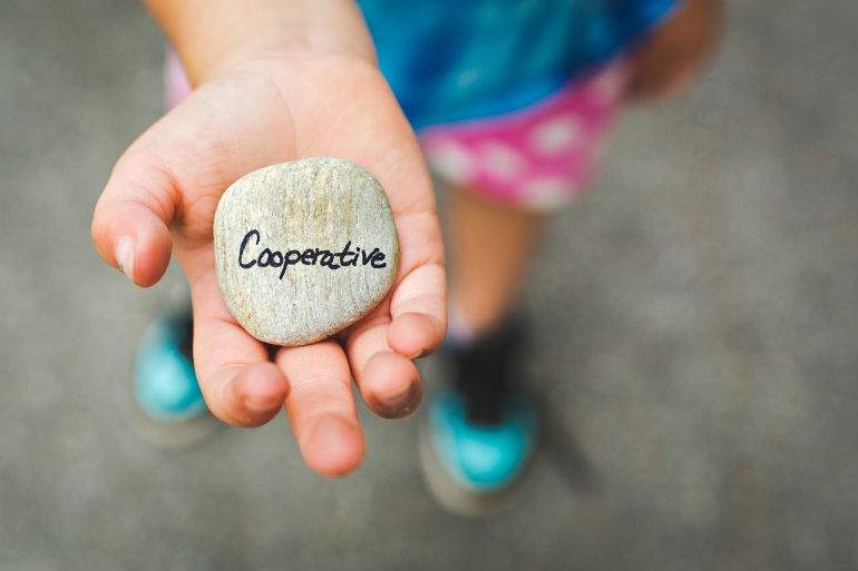 cooperative-1246862_1280-defini.jpg