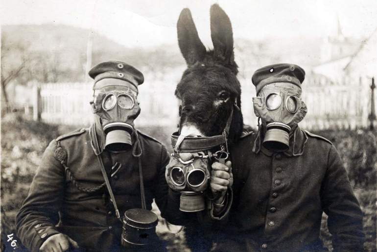 mascaras-antigas-mula.jpg