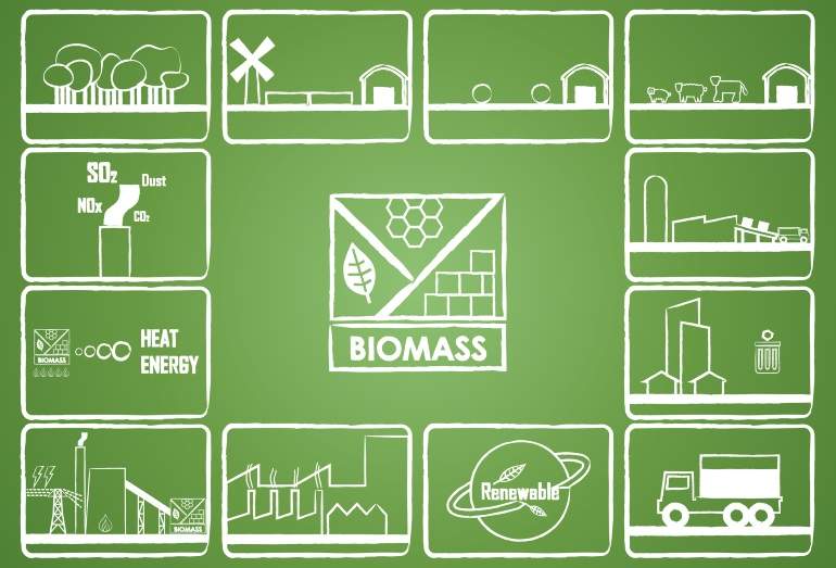 biomasa-dreamstime.jpg
