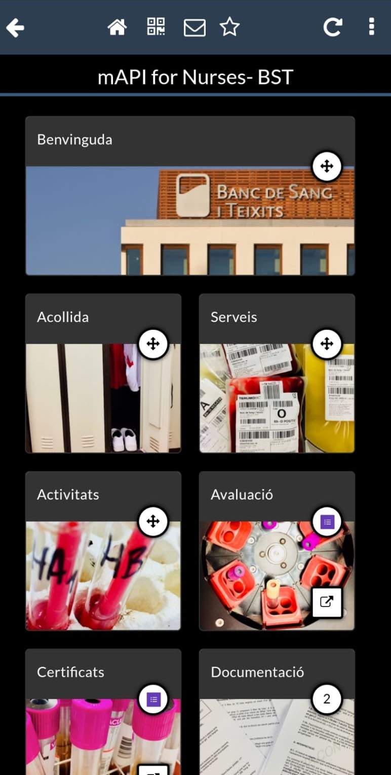 mAPI-Tutorizacion-practicas-universitarias.jpg