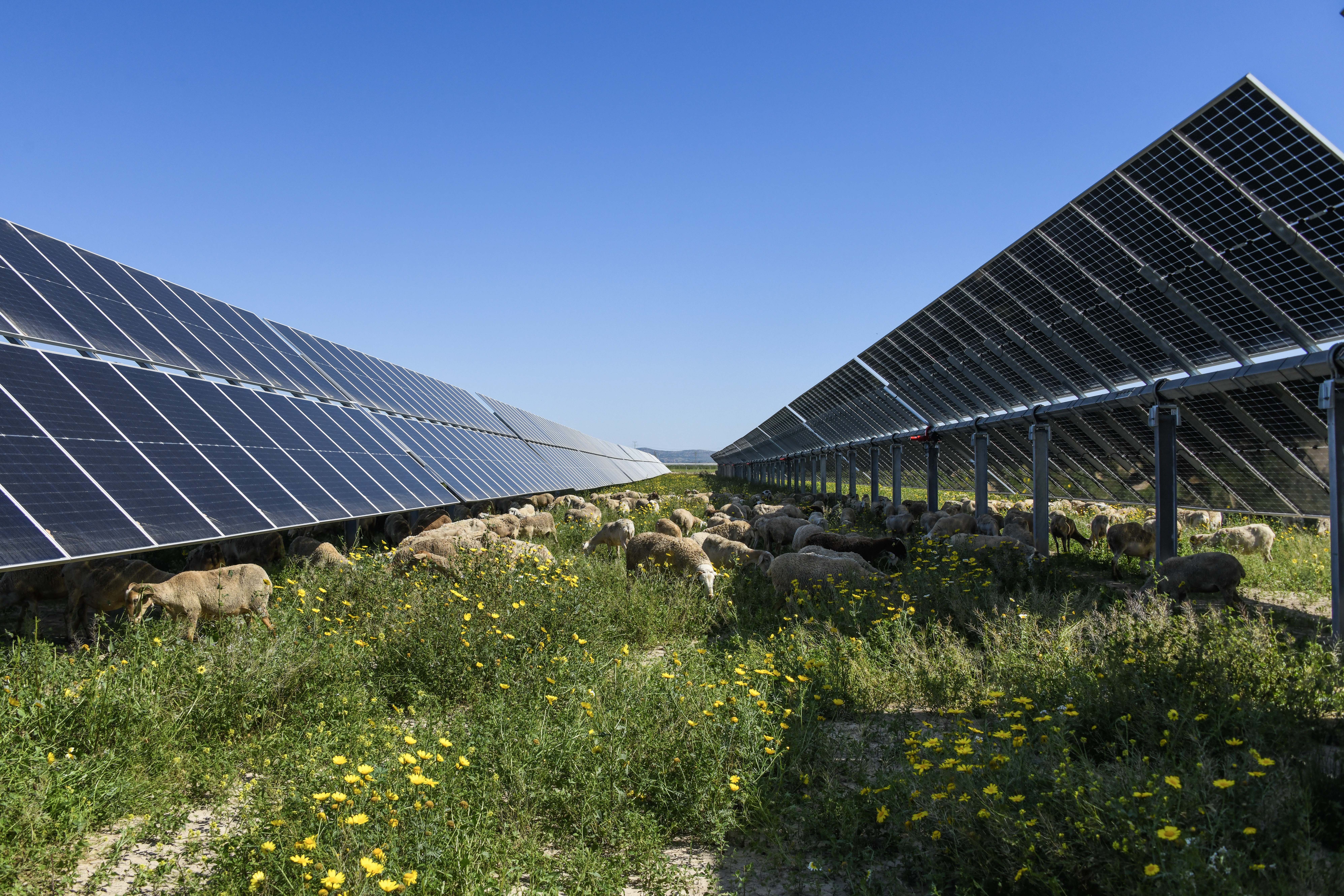 soltec_quiebra.jpg