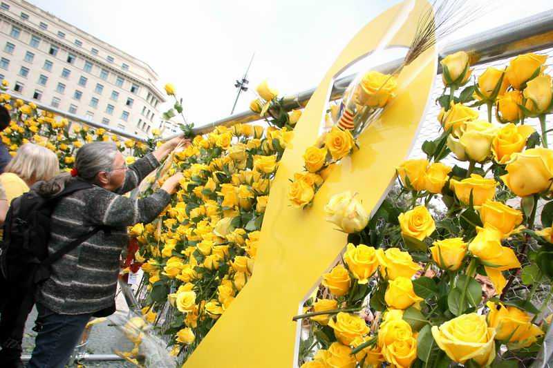 rosa-amarilla.jpg
