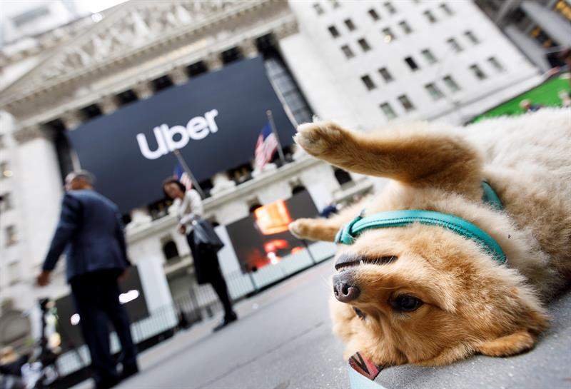 uber-perro-salida-bolsa.jpg