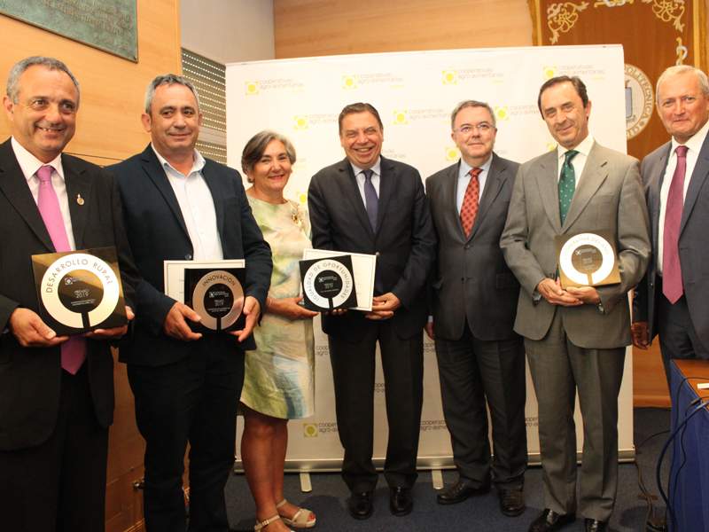planascooperativas1.jpg