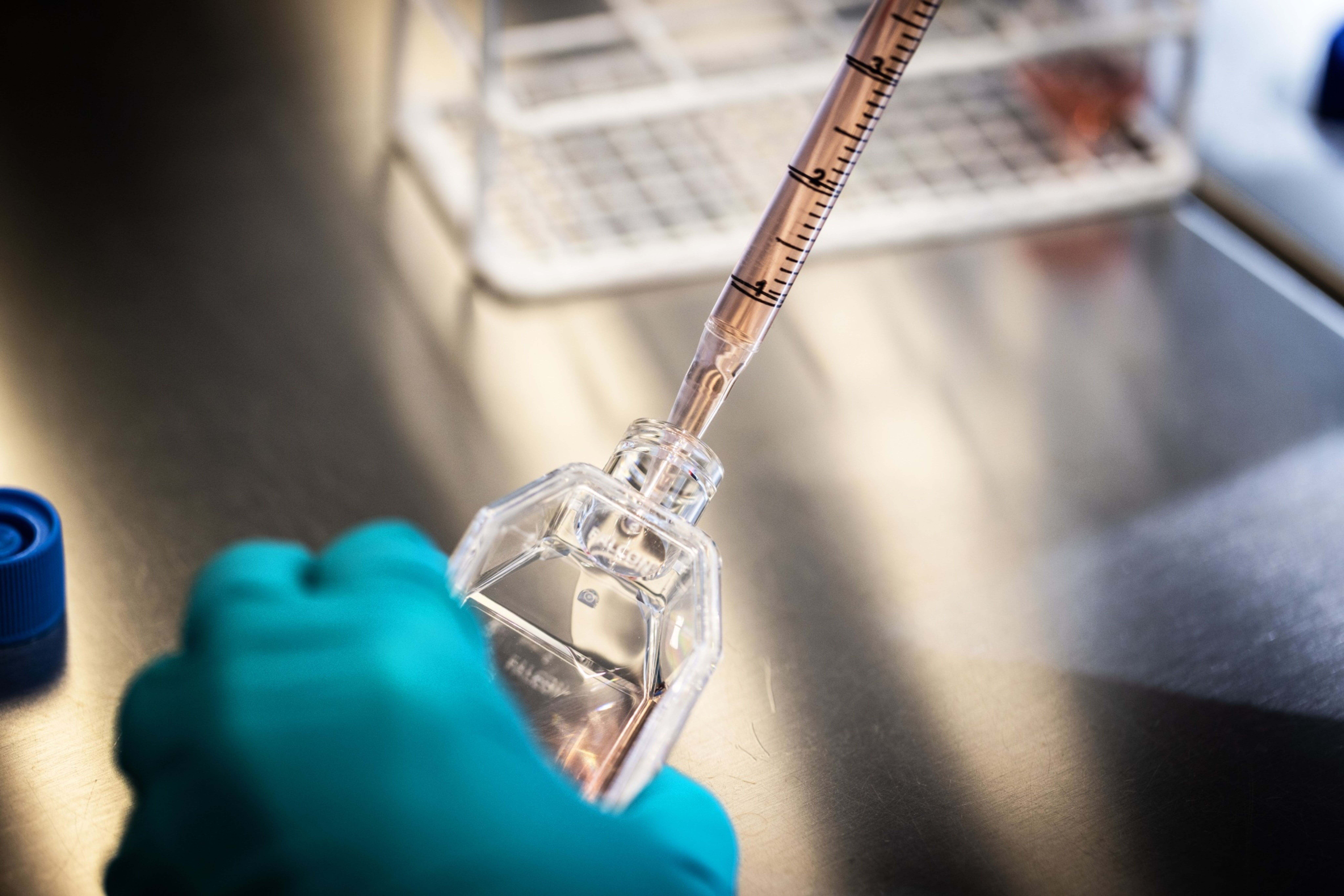 Trabajos en un laboratorio de Novo Nordisk