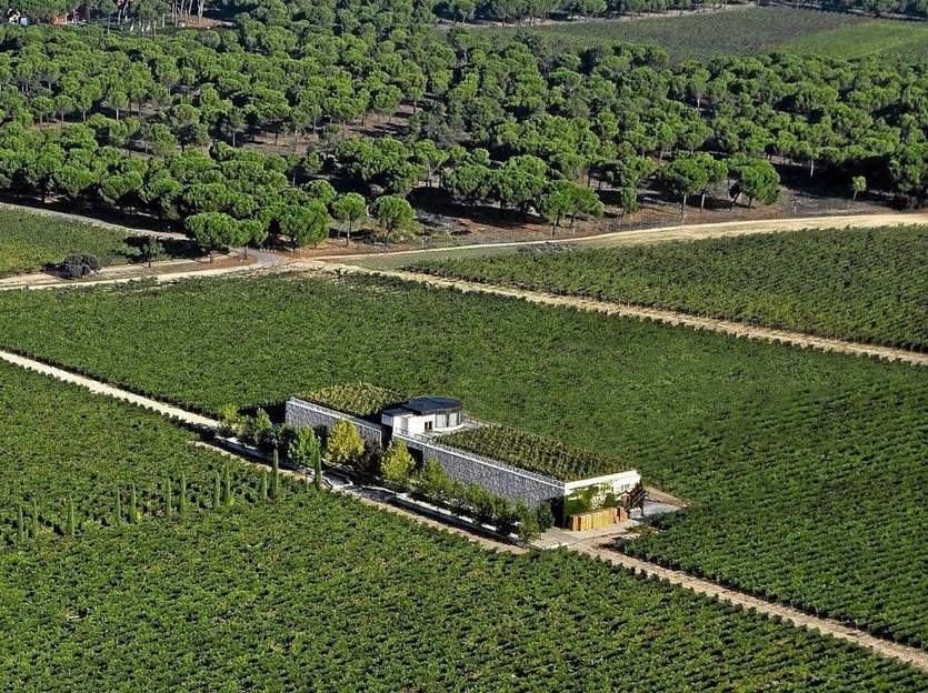 Valdecuevas-adquiere-finca-Rodma.jpg