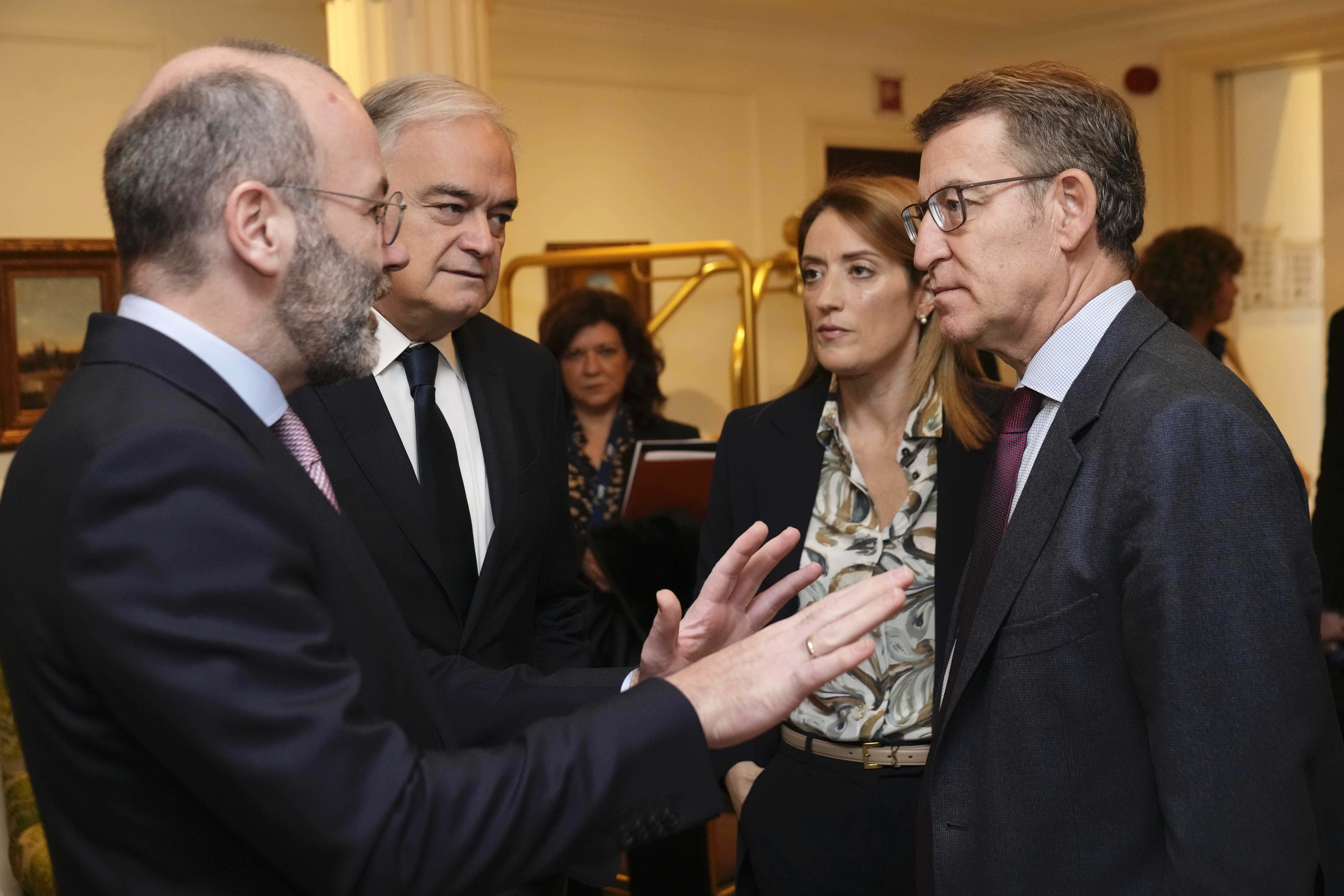 weber-feijoo