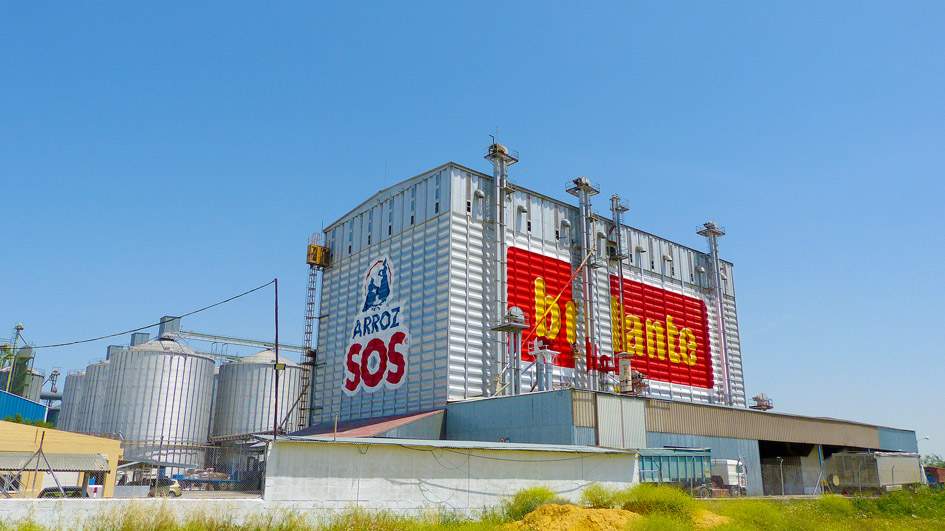 Ebro Foods