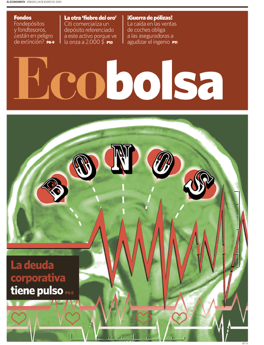 Ecobolsa Grande 2009-01-24