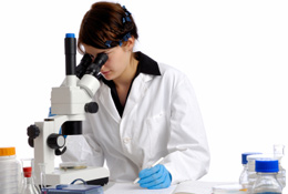 investigacion.jpg