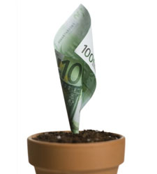 maceta-dinero.jpg