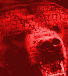 oso-rojo.jpg