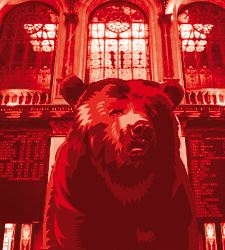 oso-rojo2.jpg