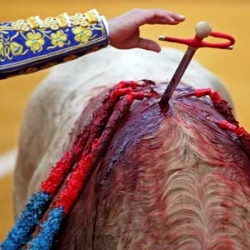 TOROS-TVE.jpg