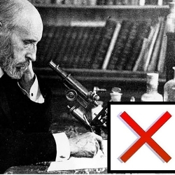 ciencia-casilla.jpg
