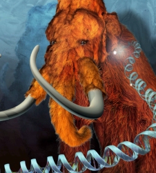 Mammoth_Ice.jpg