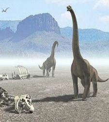dinosaurio.jpg