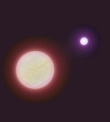 estrella-fria.jpg
