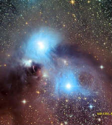 estrellas-jovenes.jpg