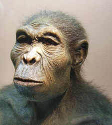 homo-habilis-wikicommons.jpg