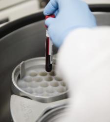laboratorio_2.JPG