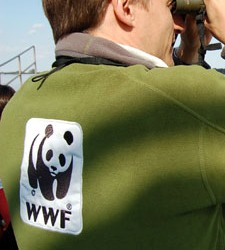 wwf_adena.jpg