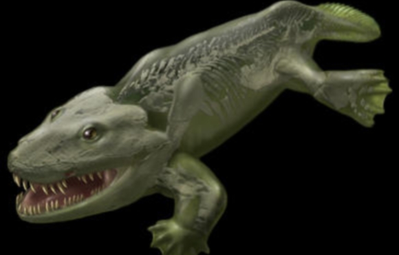 Ichthyostega.jpg