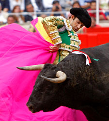 jose-tomas2.jpg