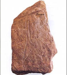 sexo-en-piedra.jpg