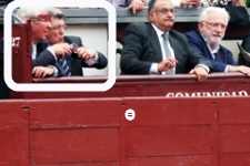Cerezo_susto_toros.jpg