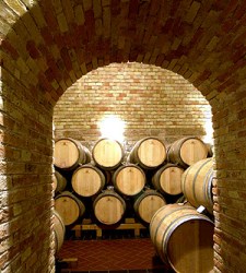 Bodegas.jpg