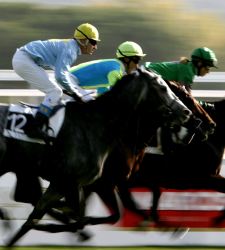 carrera_caballos.jpg