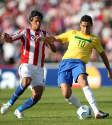 ganso-paraguay.png