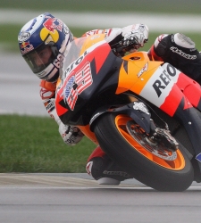 hayden_250.jpg